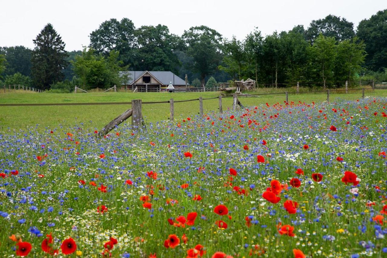 Vakantiewoning De Kei. Modern Achterhoeks Genot リヒテンフォールデ エクステリア 写真