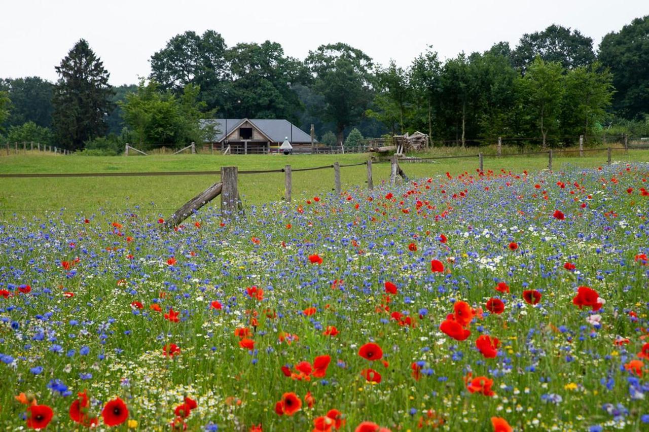 リヒテンフォールデ Vakantiewoning De Kei. Modern Achterhoeks Genotヴィラ エクステリア 写真